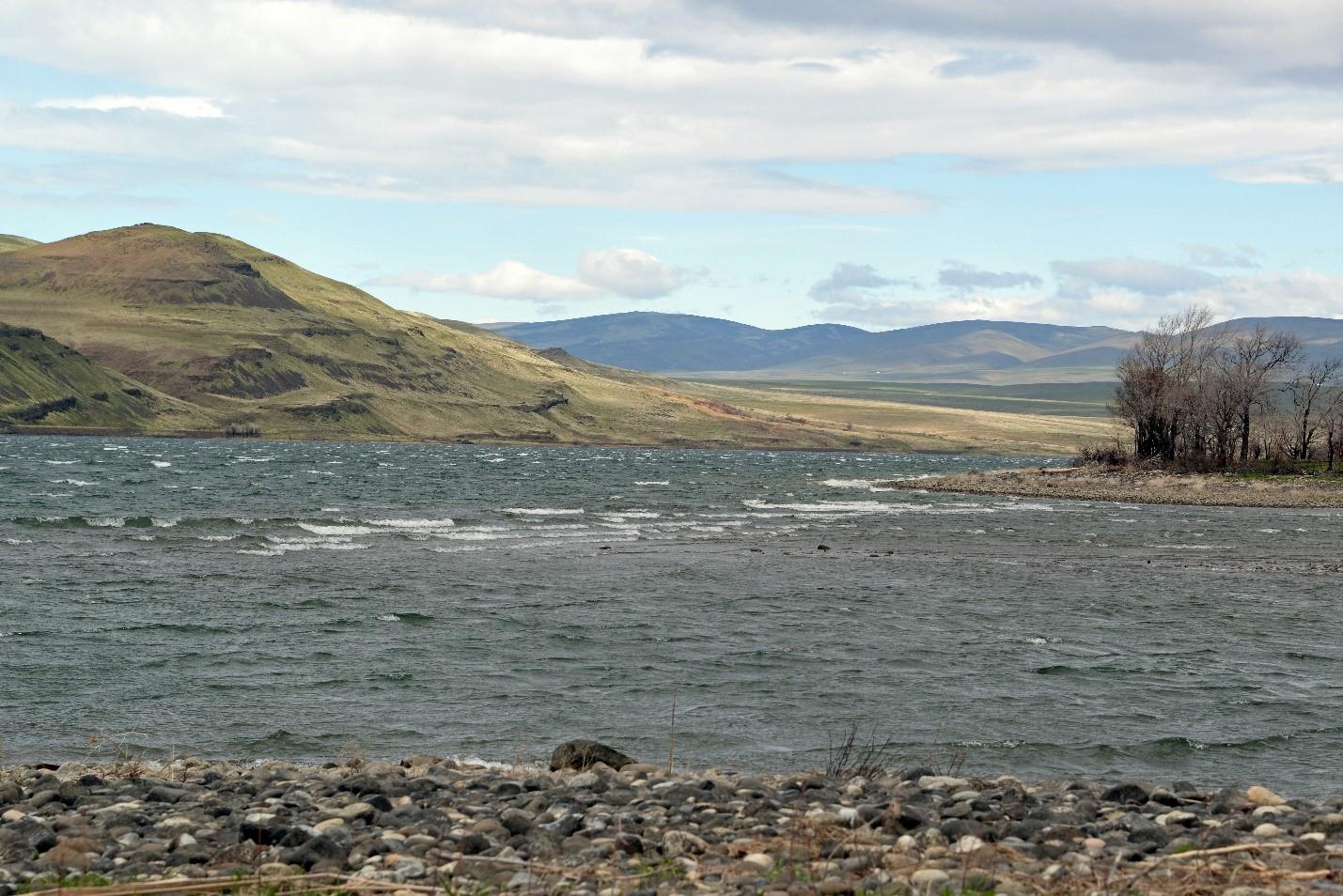 View of the river at the Priest Rapids Unit