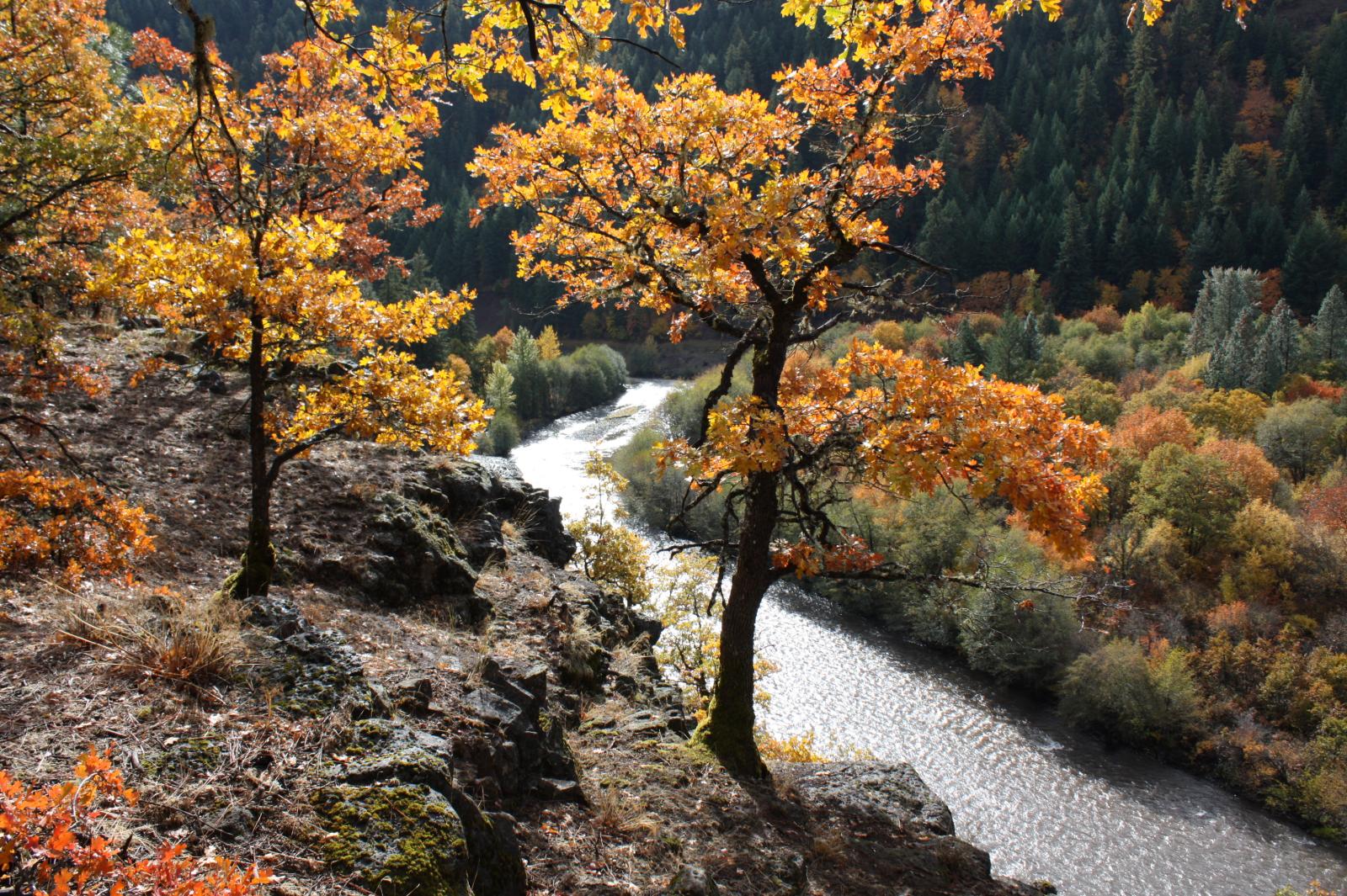 Klickitat River from the Soda Springs Unit