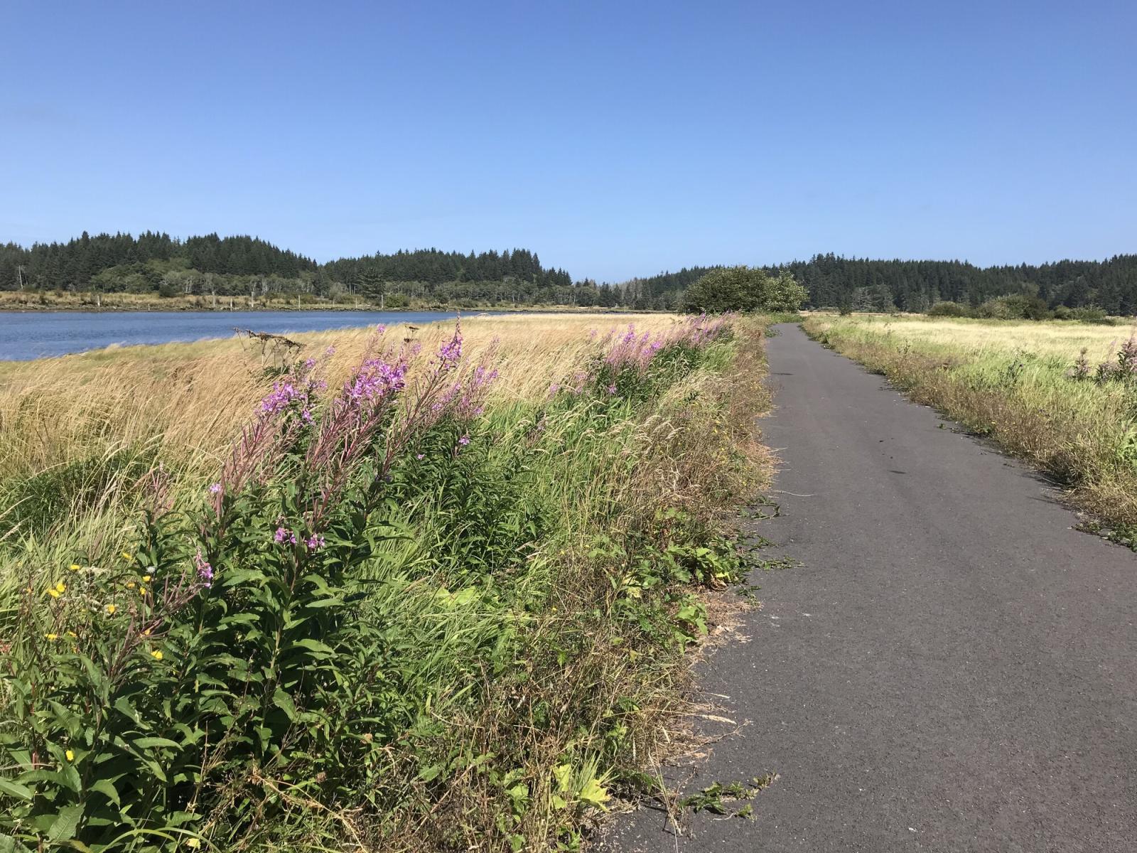 Paved pedestrian dike trail with view of the Johns River on the WDFW Johns River Unit