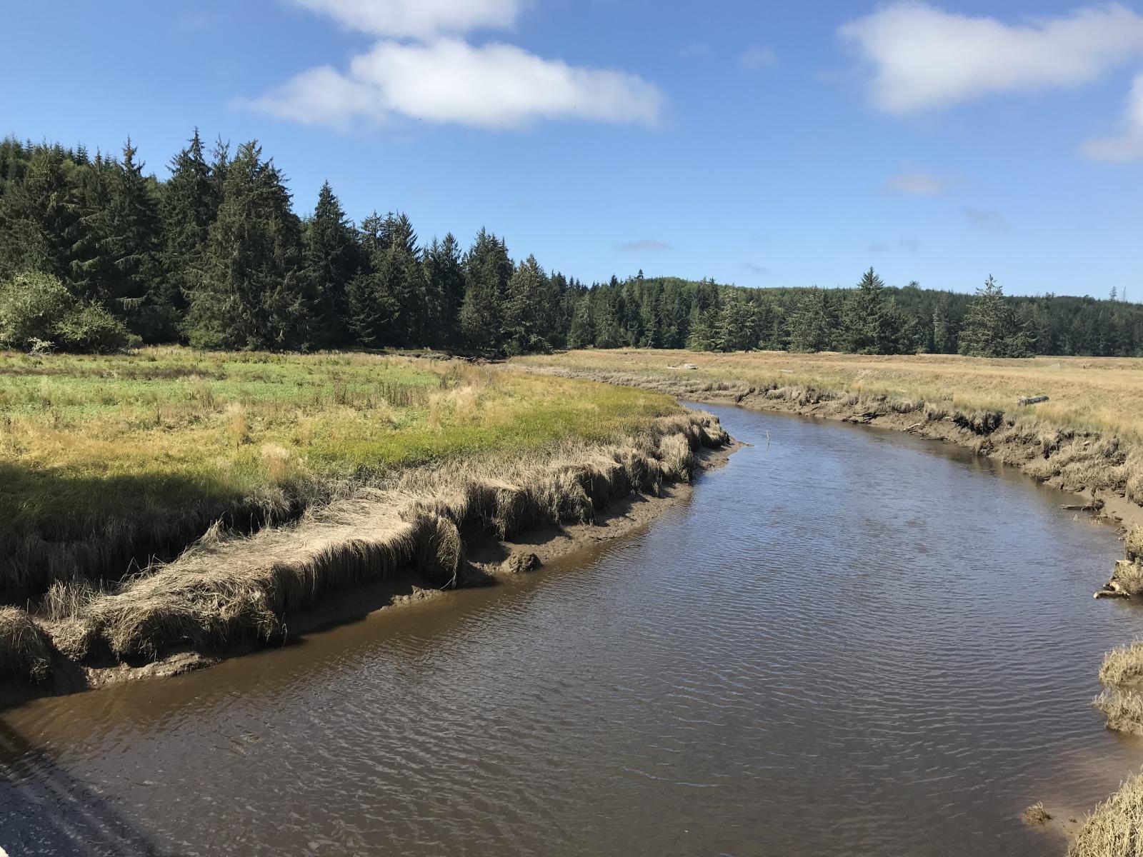 The South Nemah River winds through a tree-lined meadow on the WDFW Nemah River Estuary Wildlife Area Unit