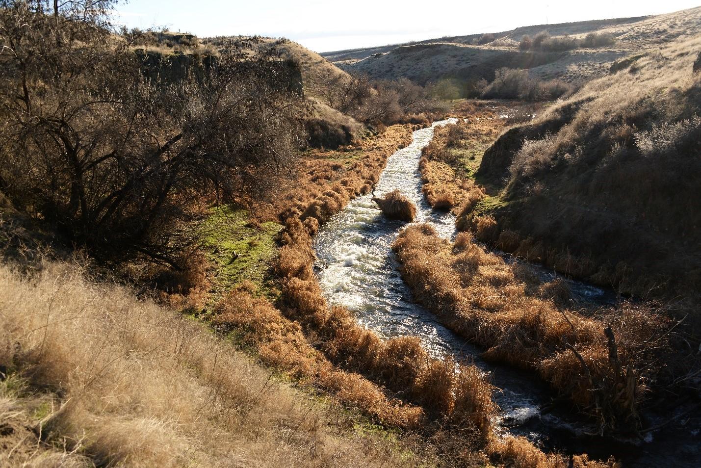 View of the north creek canyon on the Bailie Unit