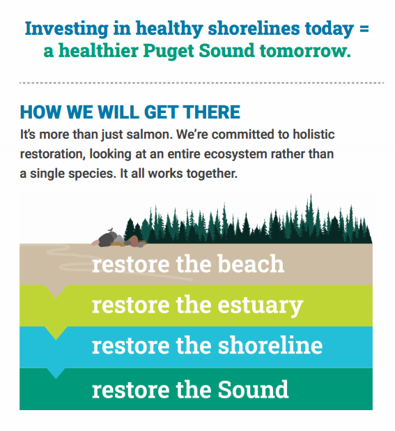Infographic of how the ESRP works to invest in healthy shorelines to restore Puget Sound nearshore.