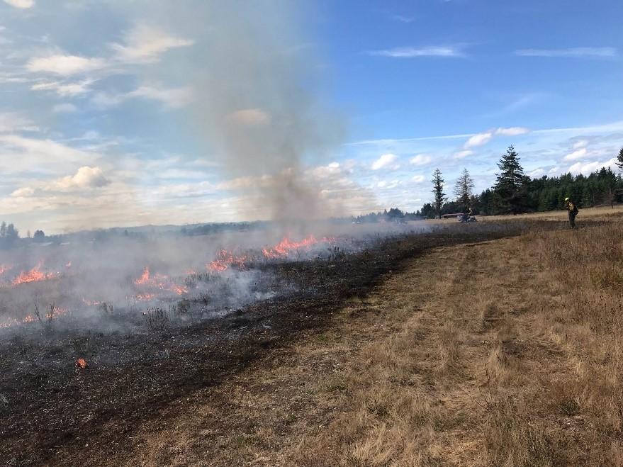Crews conduct controlled burn on a prairie