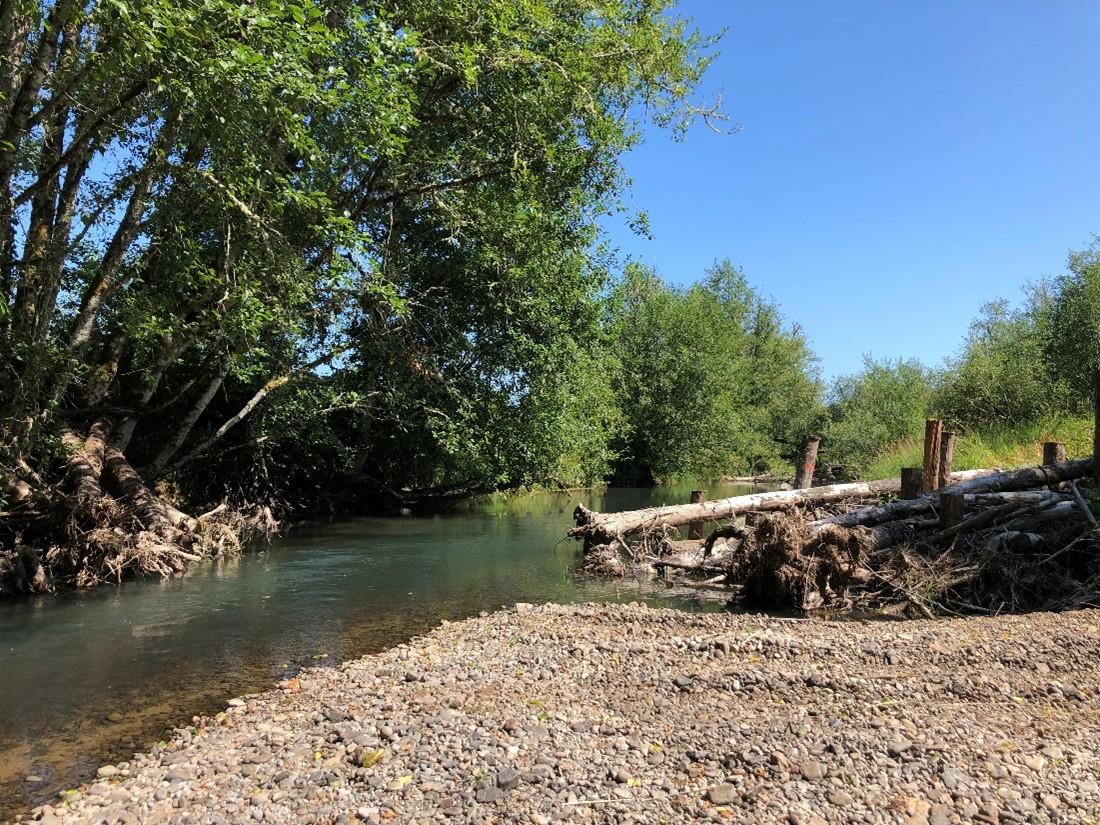 slow moving river with green vegetation on far side and rocky shore on the near side. Near side also has trees and other debris piled up along the waters edge. 