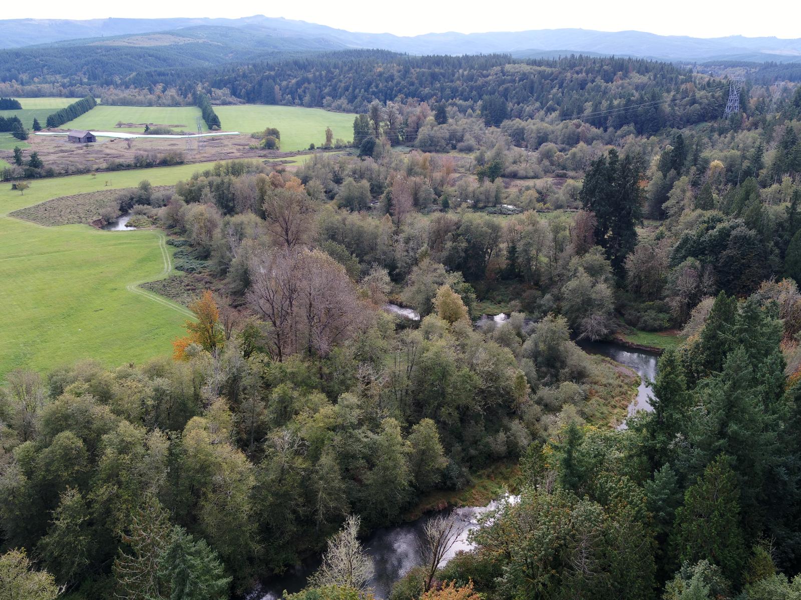 Aerial view of stretch of Skookumchuck River and surrounding agricultural fields
