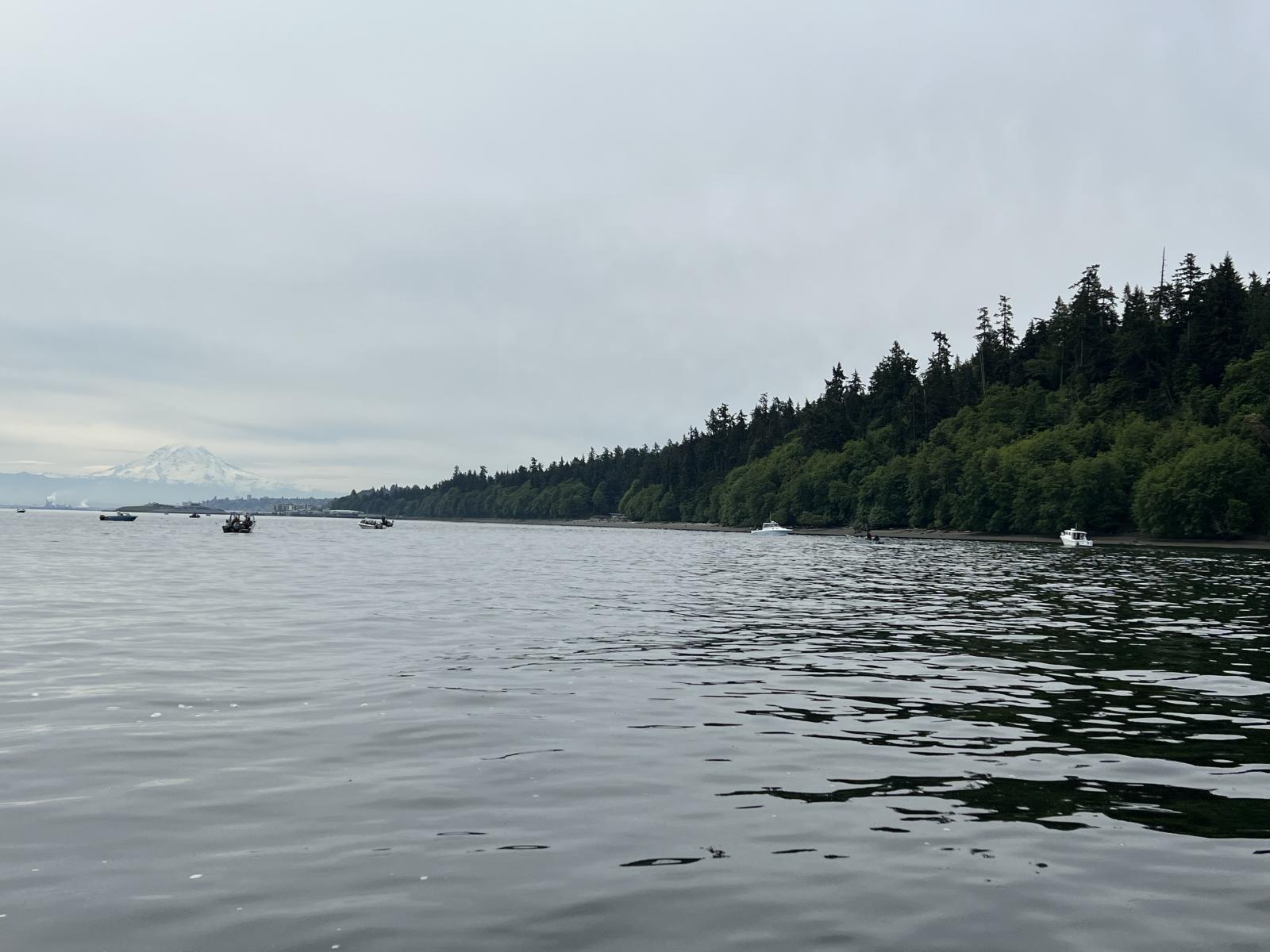 The Area 11 summer Chinook salmon fishery will temporarily close after June 3 and reopen on July 1