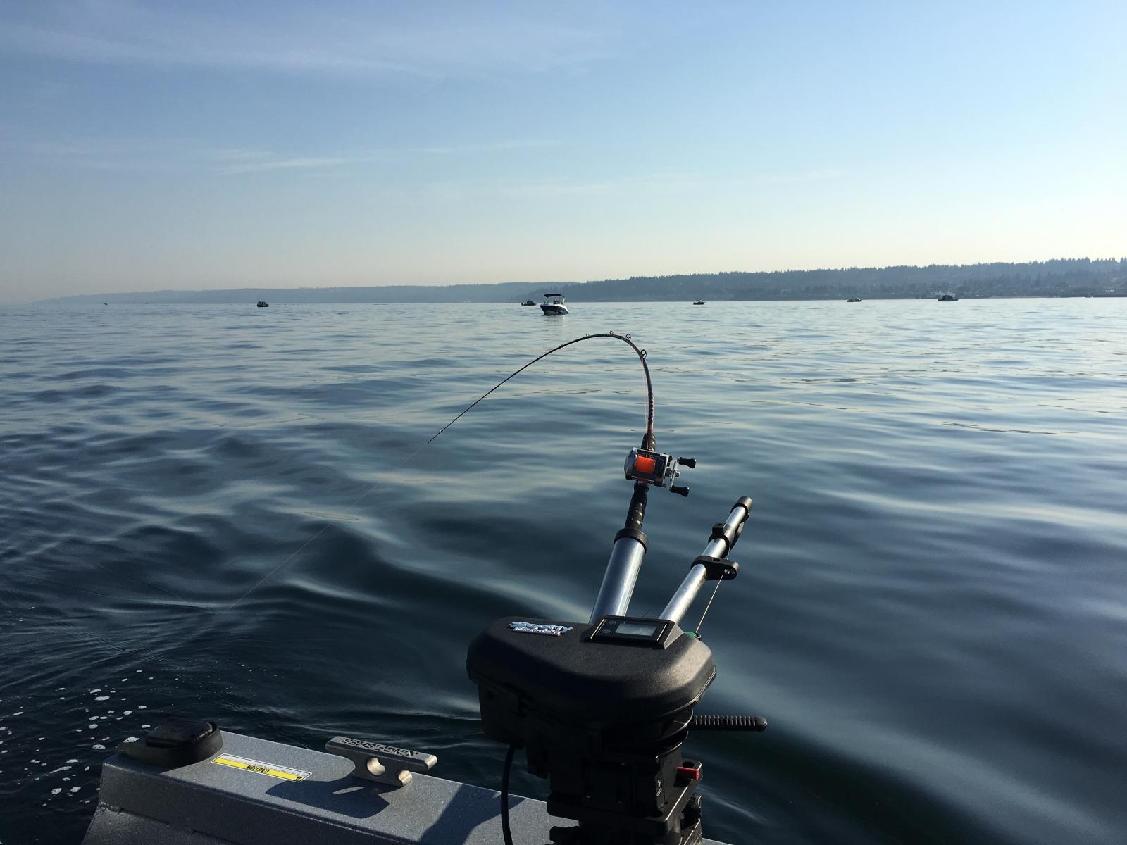 Puget Sound salmon fishing