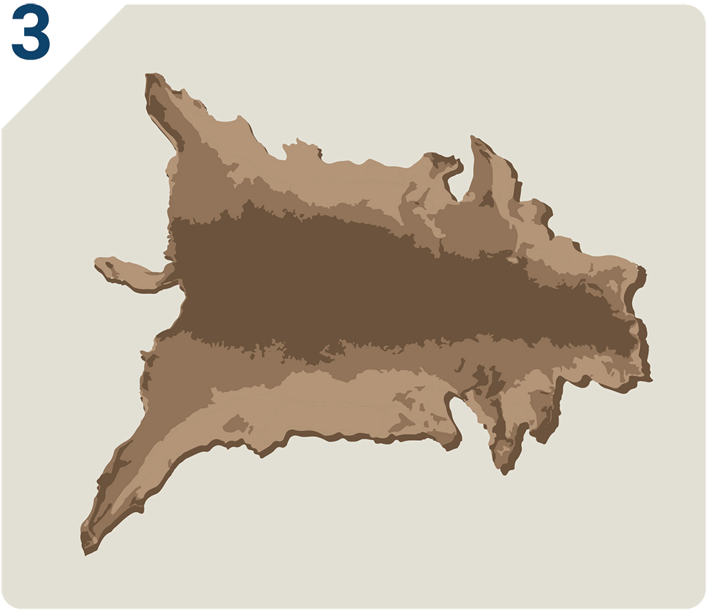 Deer hide without head