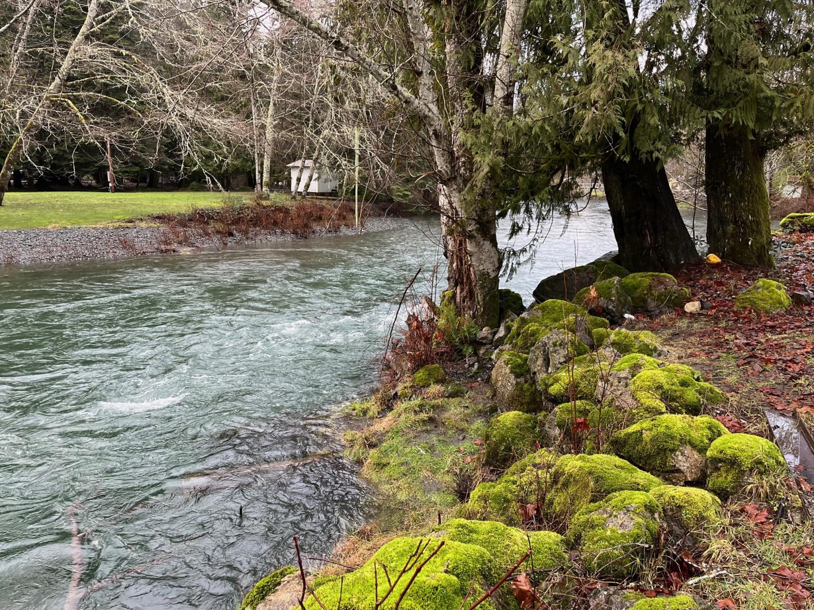 Duckabush river flows past a mossy outcropping.