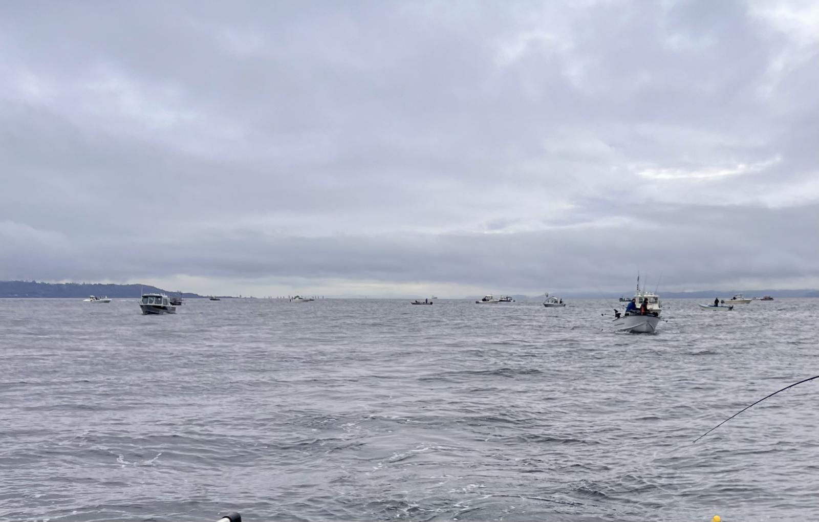 Boats fishing for winter blackmouth Chinook in central Puget Sound Marine Area 10 March 2024
