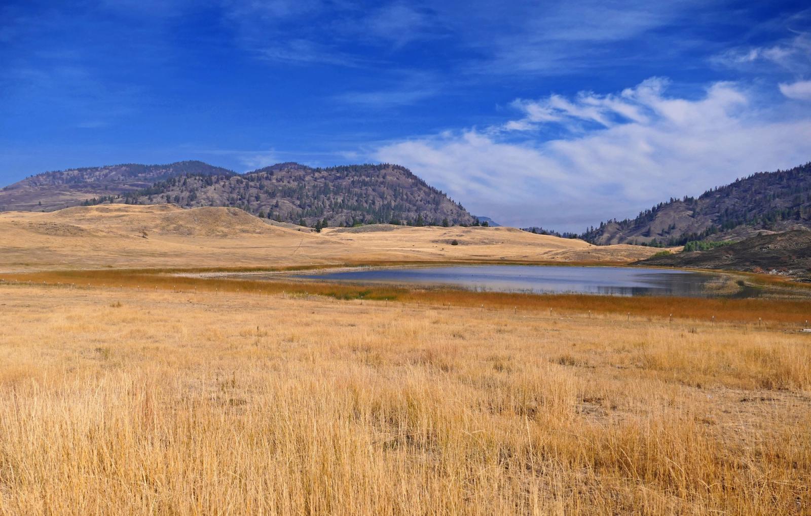 Roberts Lake from the Scotch Creek Wildlife Area Unit.