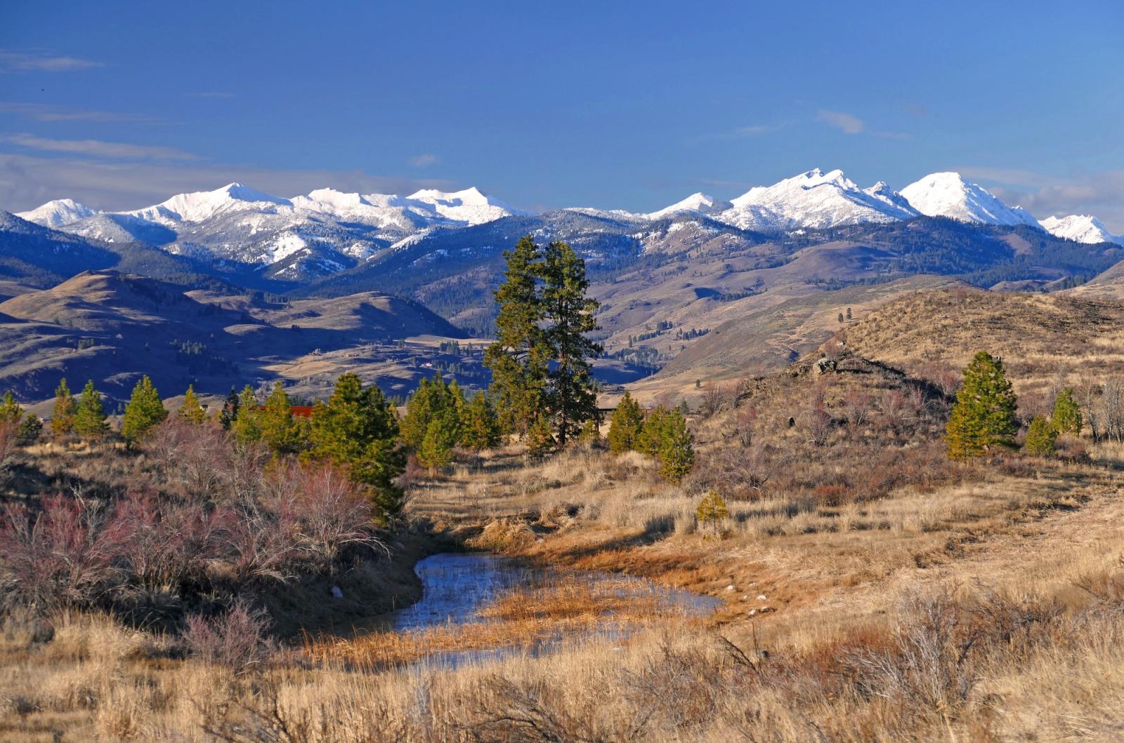 Pasayten Peaks view from Methow Wildlife Area Unit.
