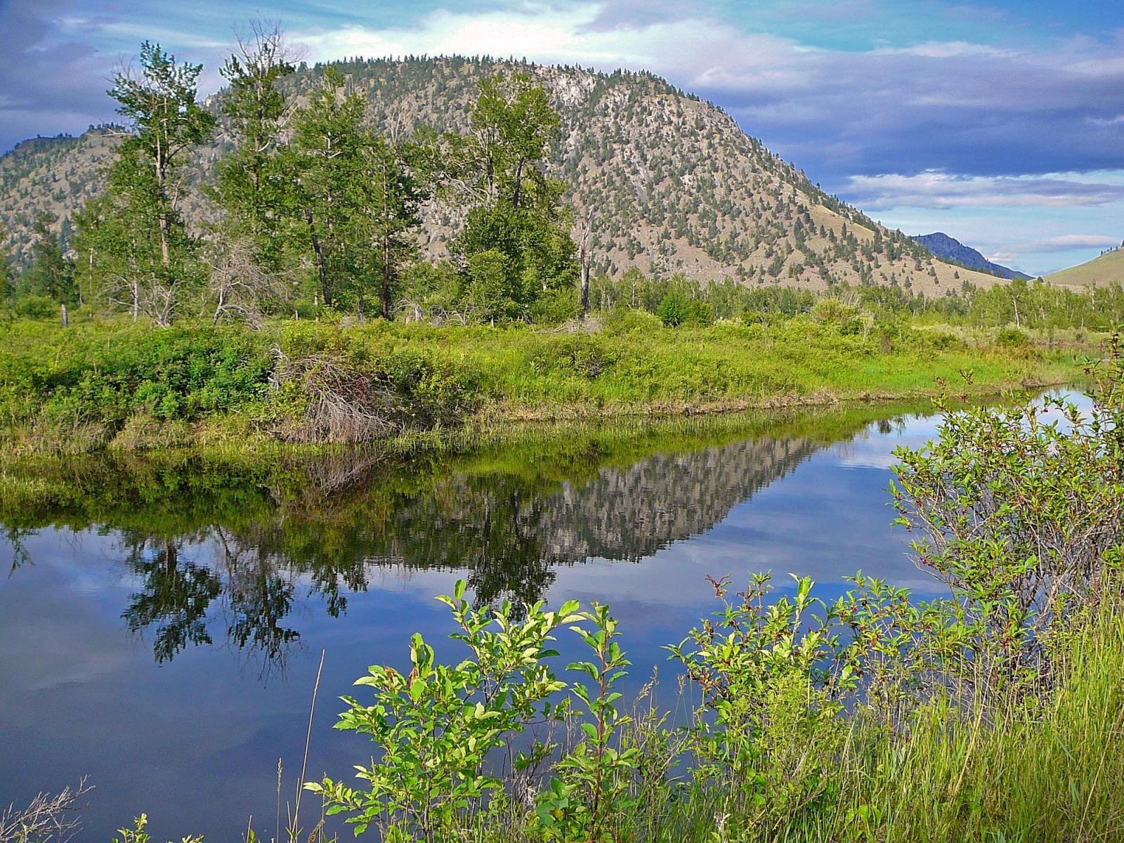 River channel on Similkammen-Chopaka Wildlife Area Unit.
