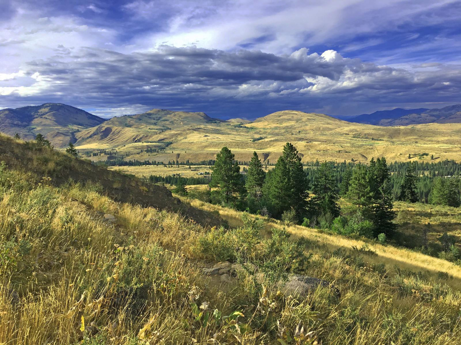 Valley view at Rendezvous Wildlife Area Unit.