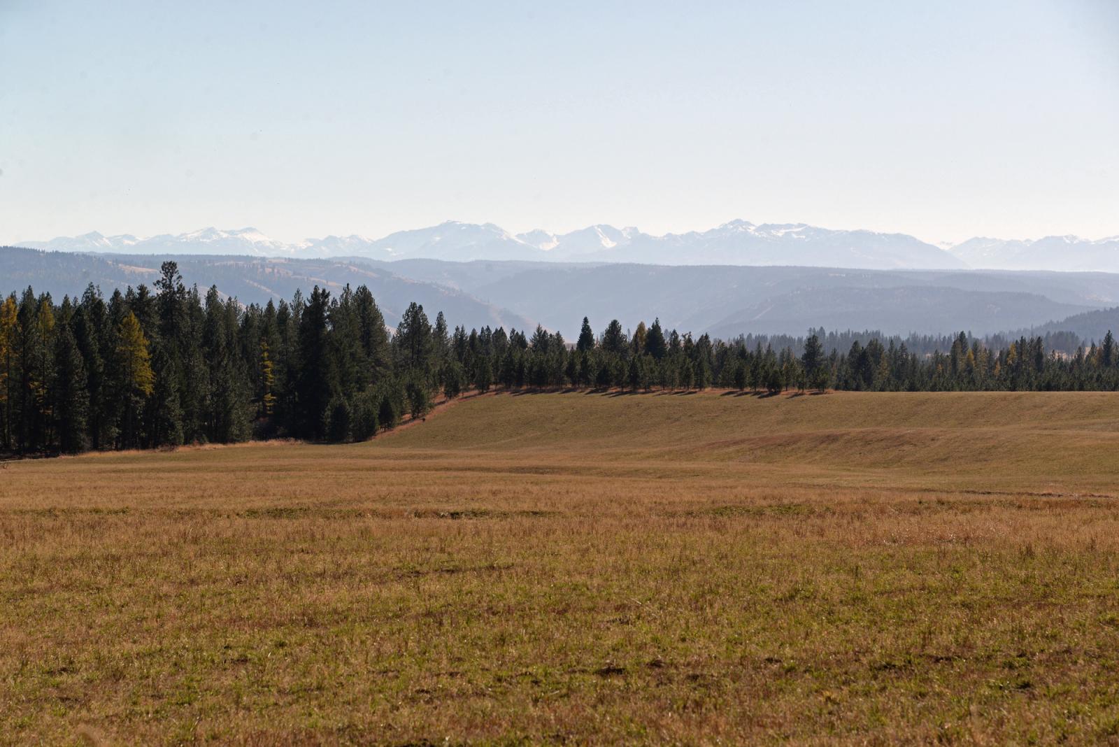Mountains from Grouse Flats Wildlife Area Unit.