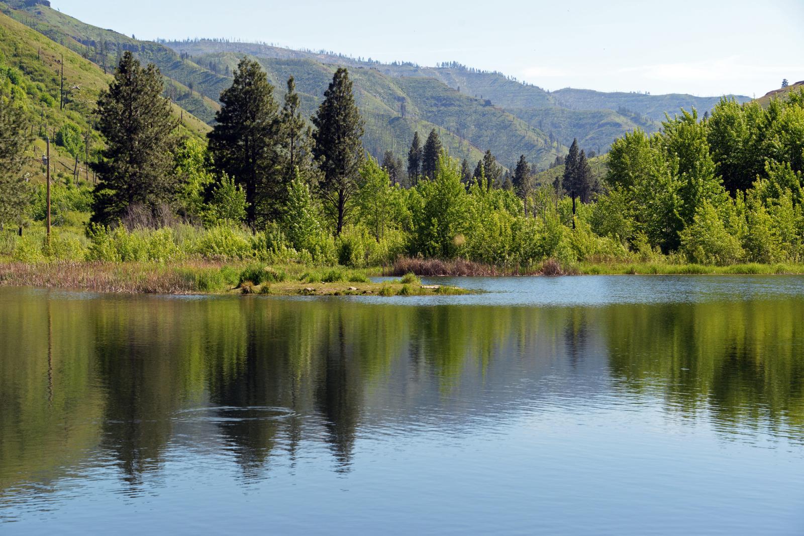 Watson Lake reflection at W.T. Wooten Wildlife Area Unit.