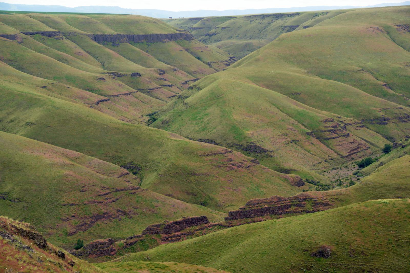 Green canyonlands at George Creek Wildlife Area Unit.