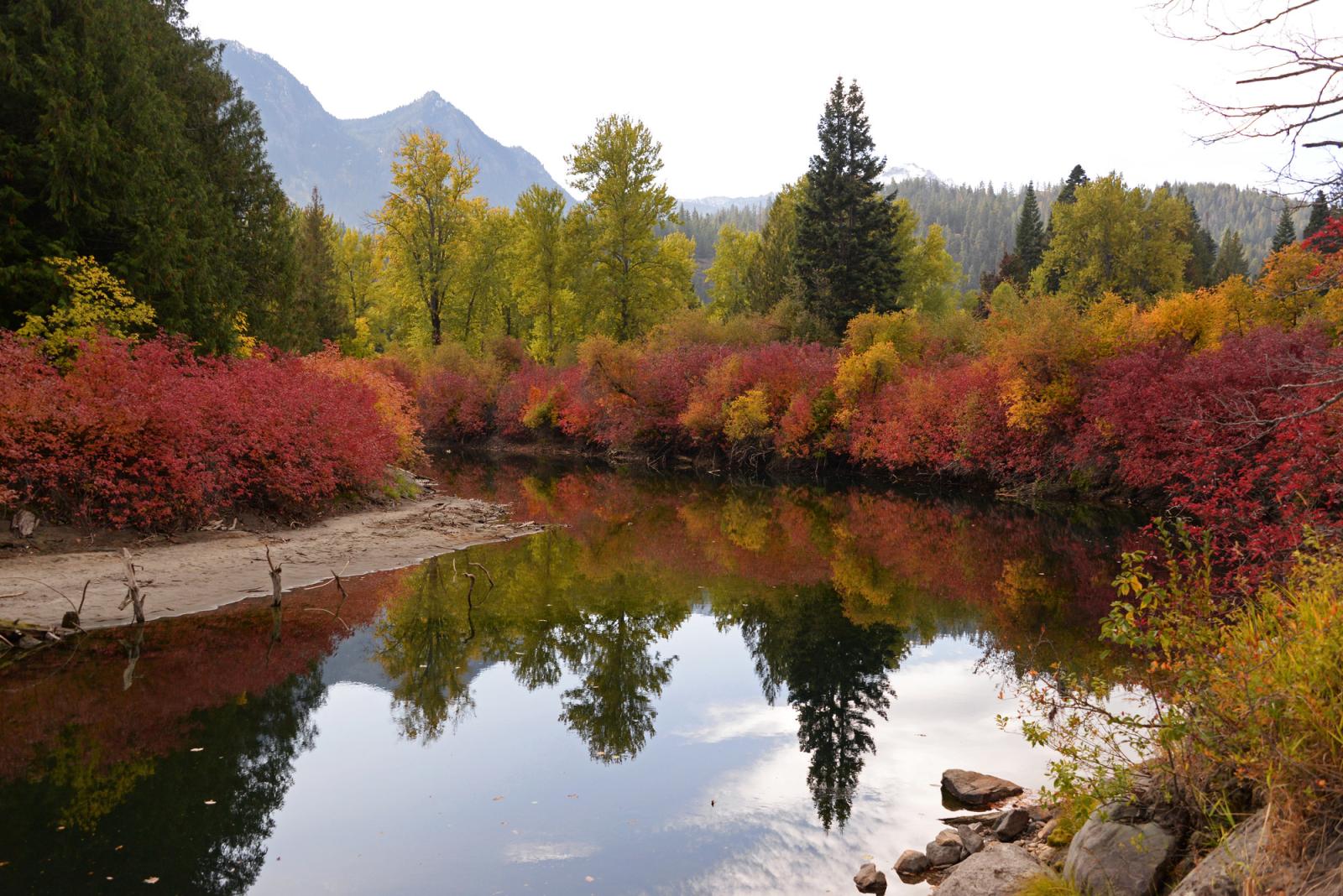 Autumn trees on White River Wildlife Area Unit.