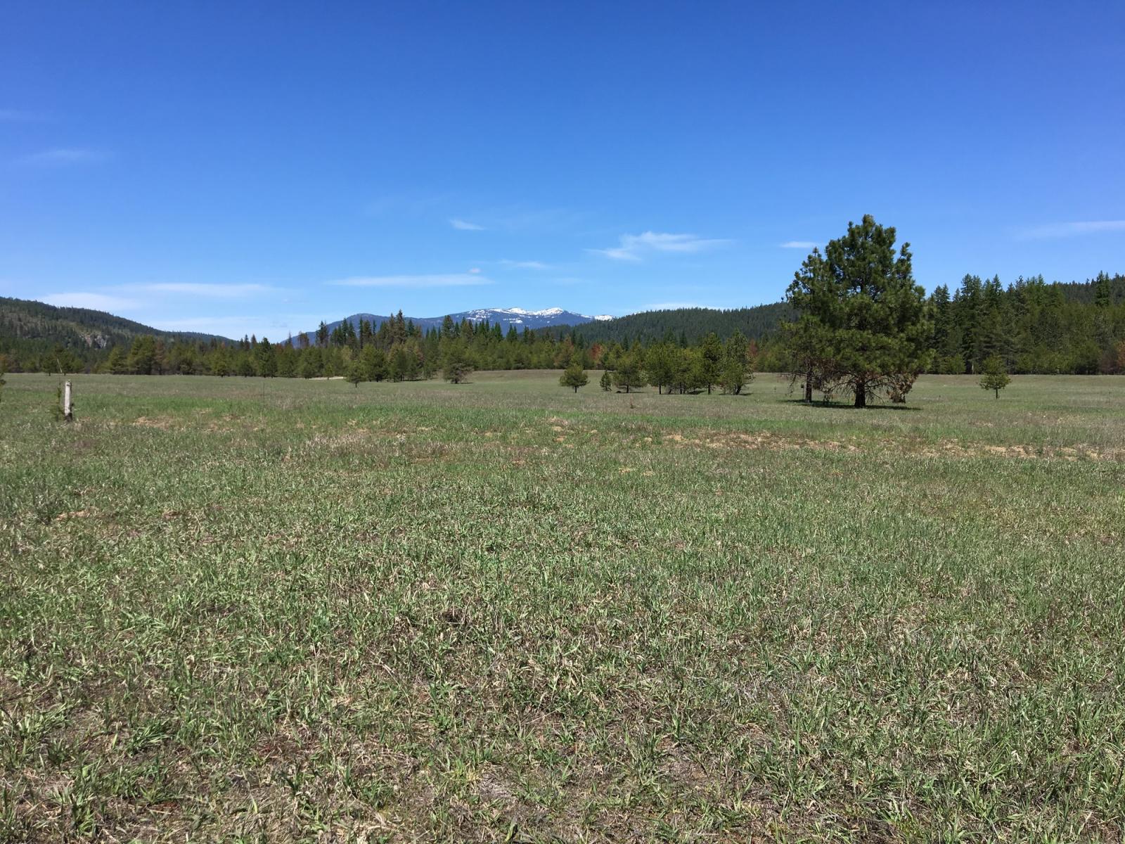Meadow at LeClerc Wildlife Area Unit.