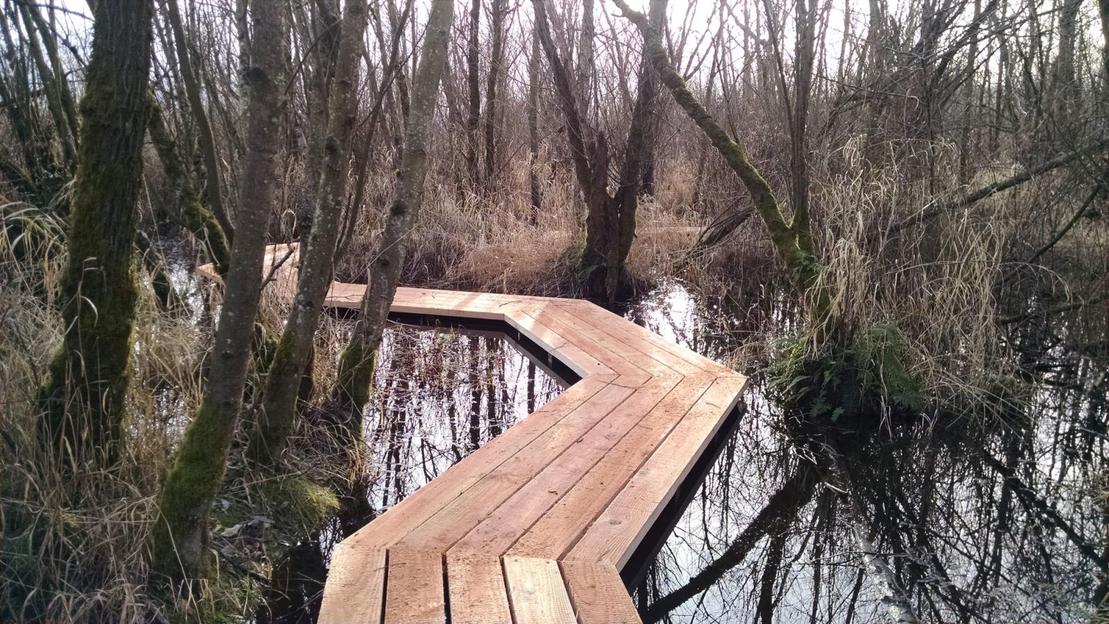 Wetland boardwalk at Tennant Lake Wildlife Area Unit.