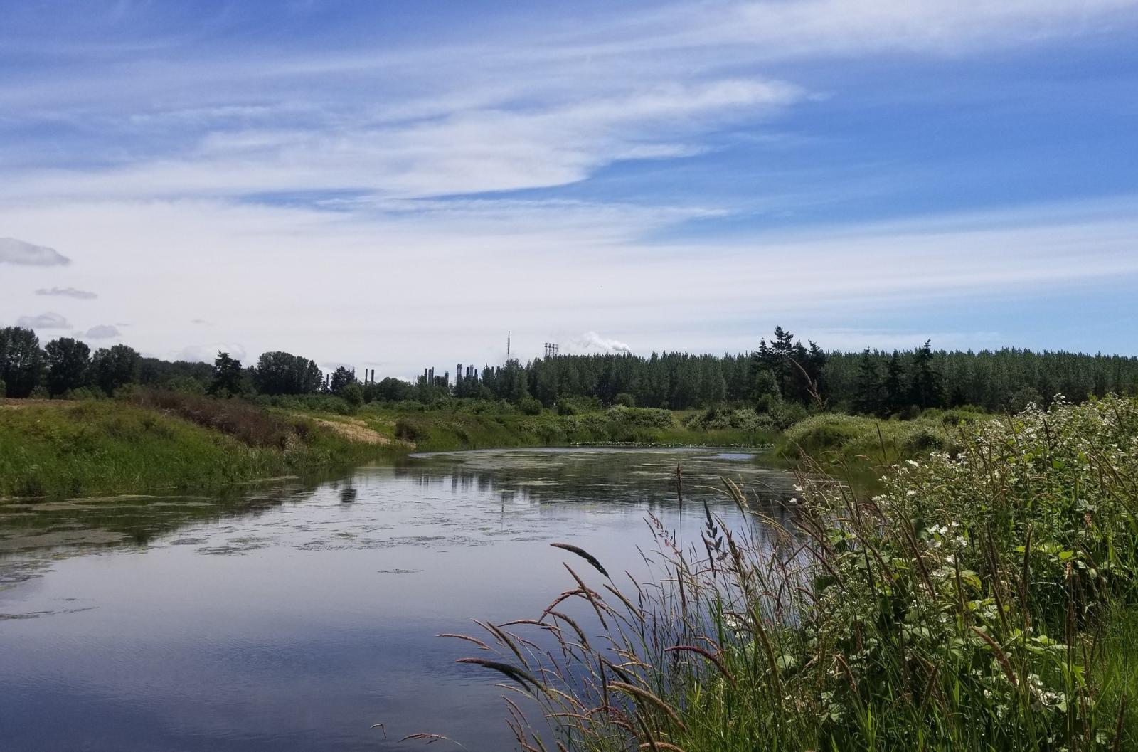 Lake at British Petroleum Wildlife Area Unit.