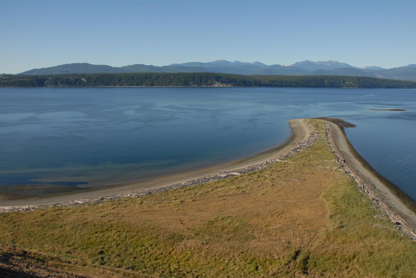 Kanem Spit on Protection Island at Zella Schultz Wildlife Area Unit.
