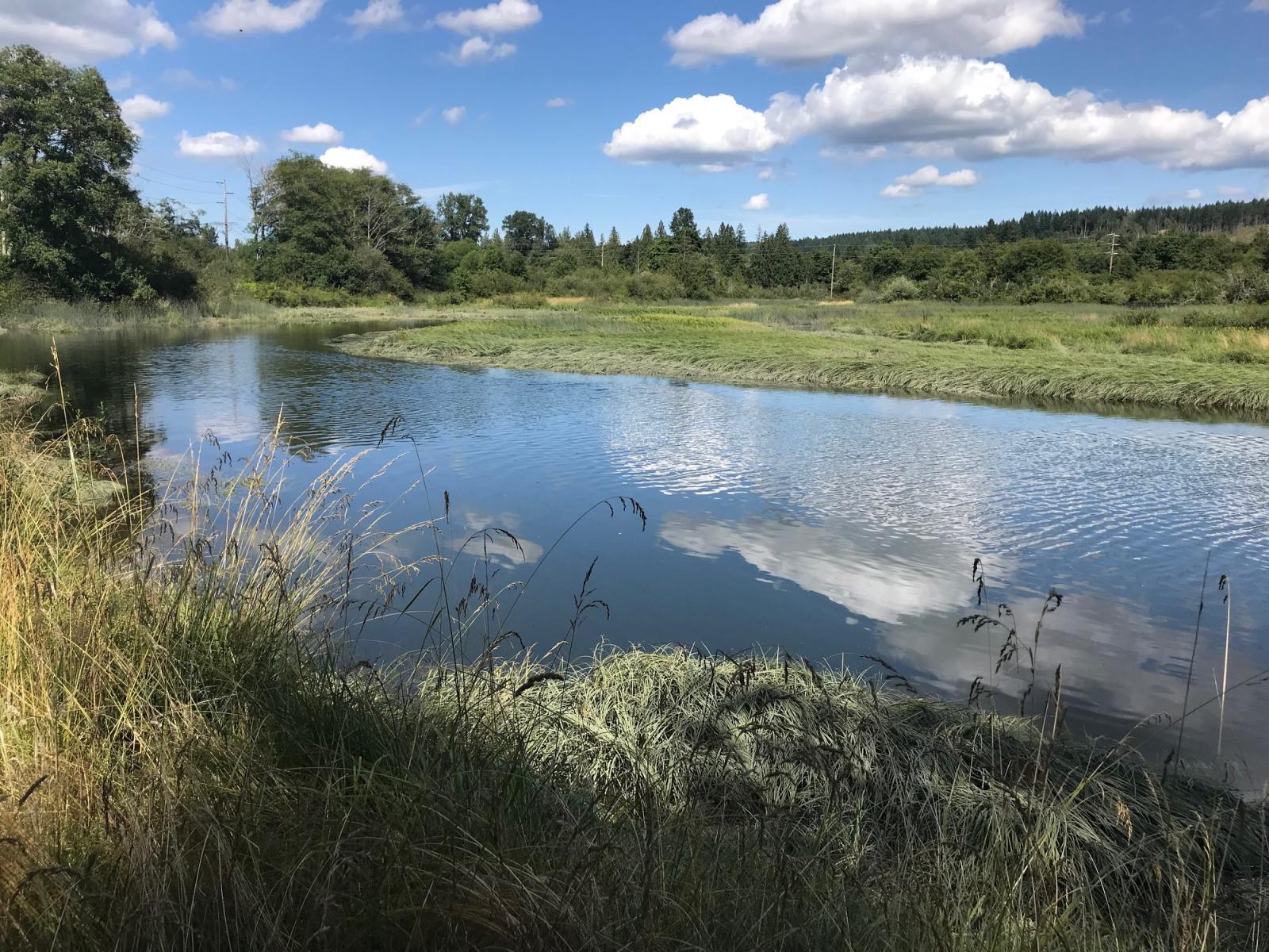 Union River at Union River Wildlife Area Unit