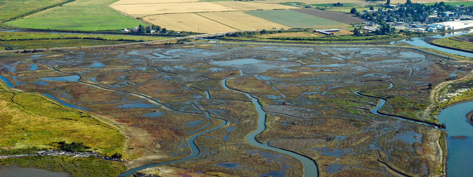 Aerial view of Leque Island estuary restoration project area