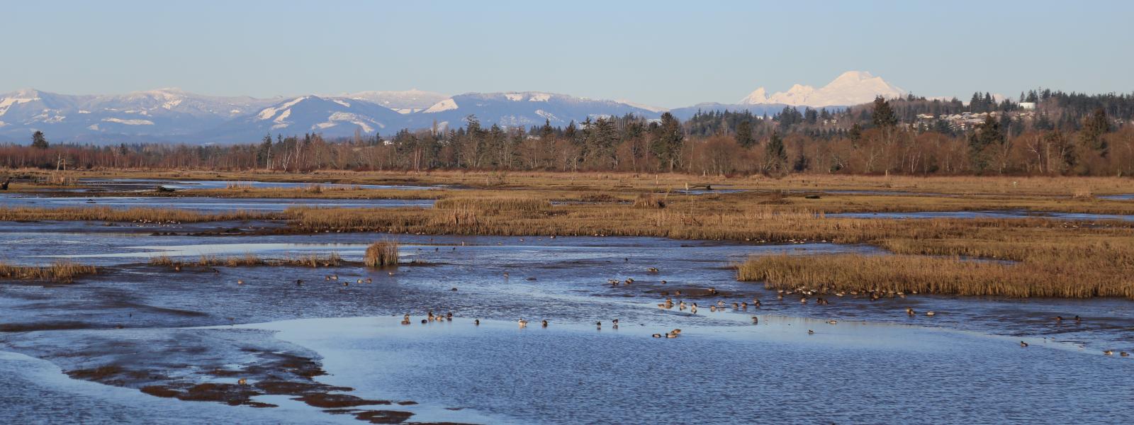 Spencer Island