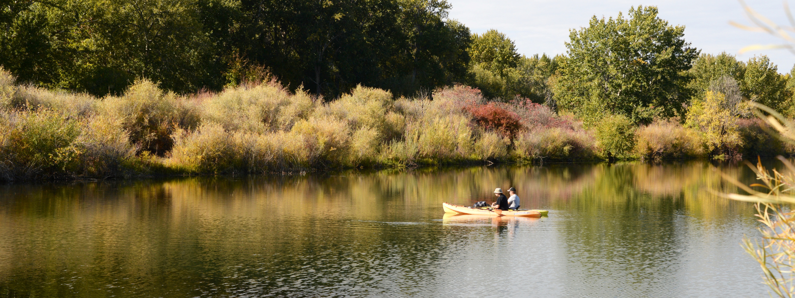 Two people in kayaks in waterbody with shoreline vegetation