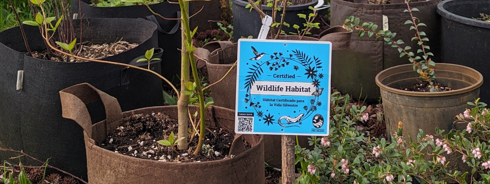 Habitat at Home sign with garden pots