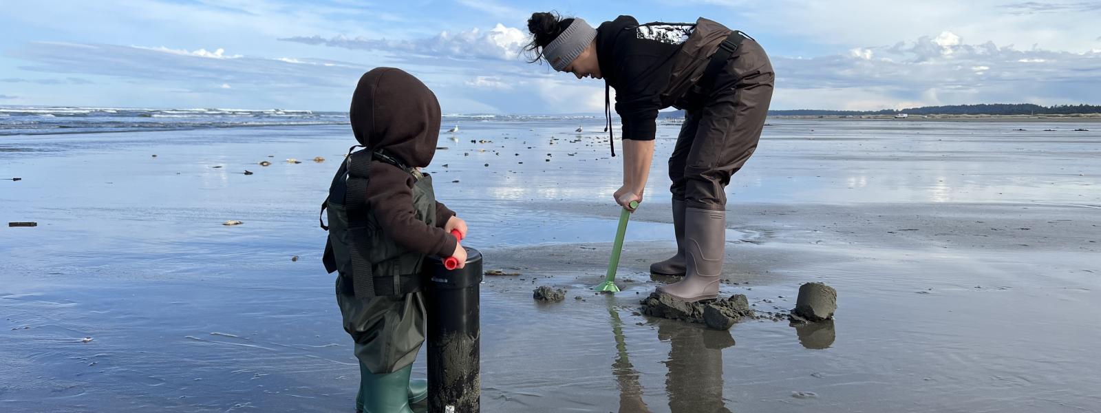 Son razor clam digging with mom