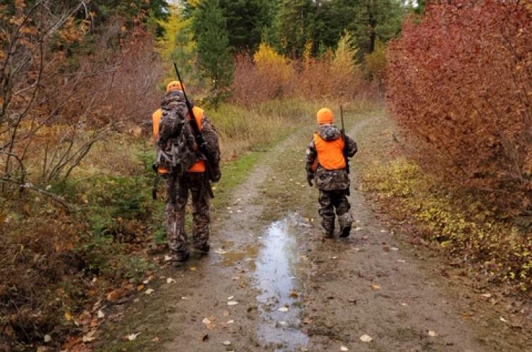 two hunters walking a logging road