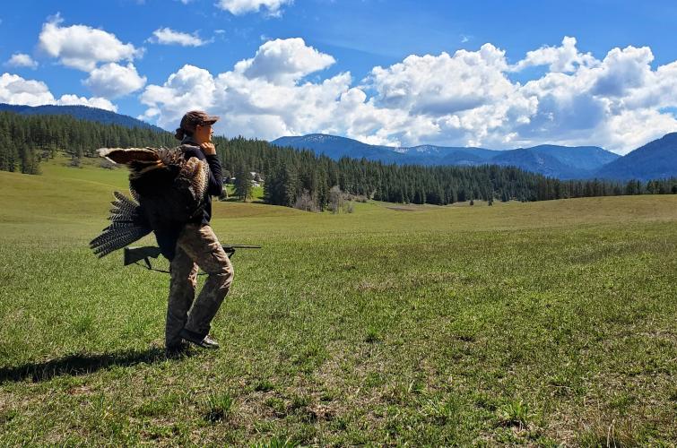 A young woman walks across a field on a sunny day carrying a wild turkey she has just harvested
