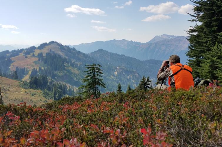 A hunter in a blaze orange vest sitting in a forest clearing, using binoculars to scan the mountains in the distance