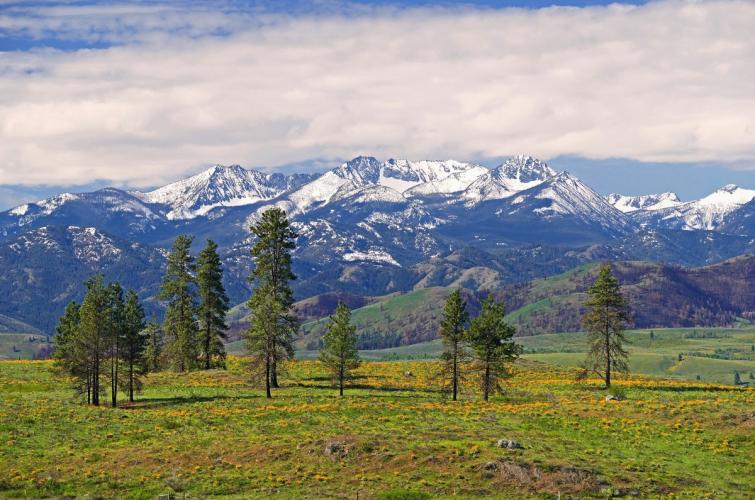 Sawtooth Range from the Methow Wildlife Area