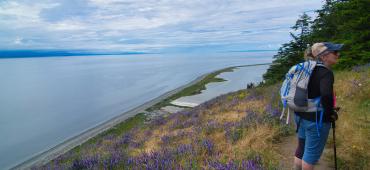 Hikers and wildlowers along the Ebey Landing Trail