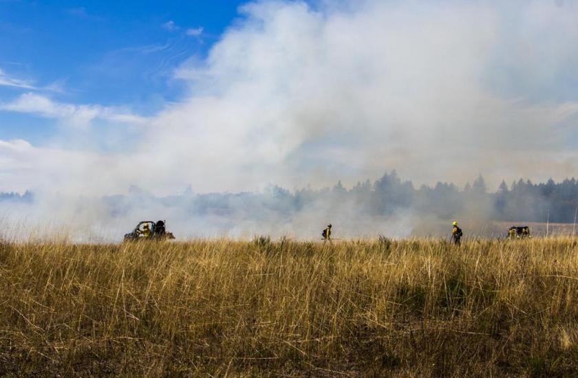 Crews conduct prescribed burns to restore prairie habitat