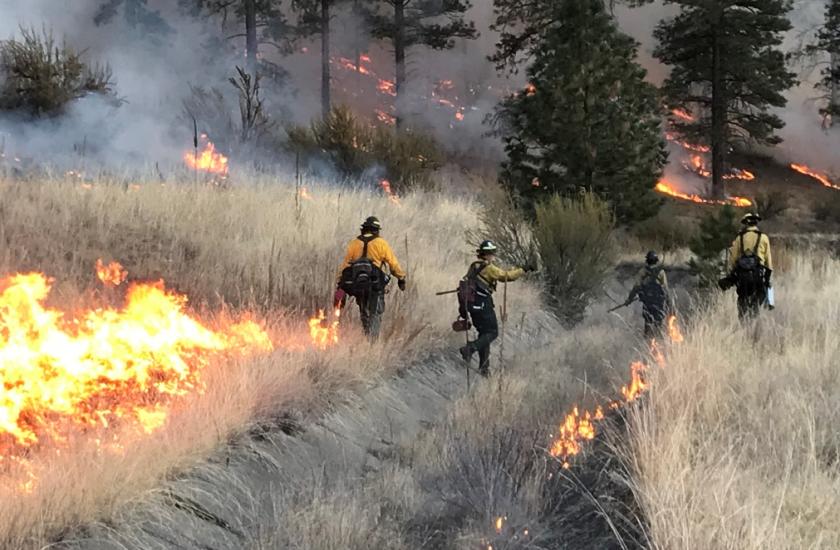 Crews work a prescribed fire
