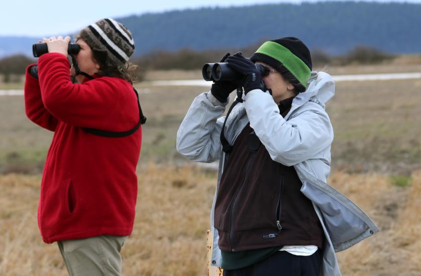 Birders at Samish River Unit of Skagit Wildlife Area