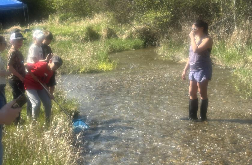 A woman stands in a creek while children stand on the bank watching her.