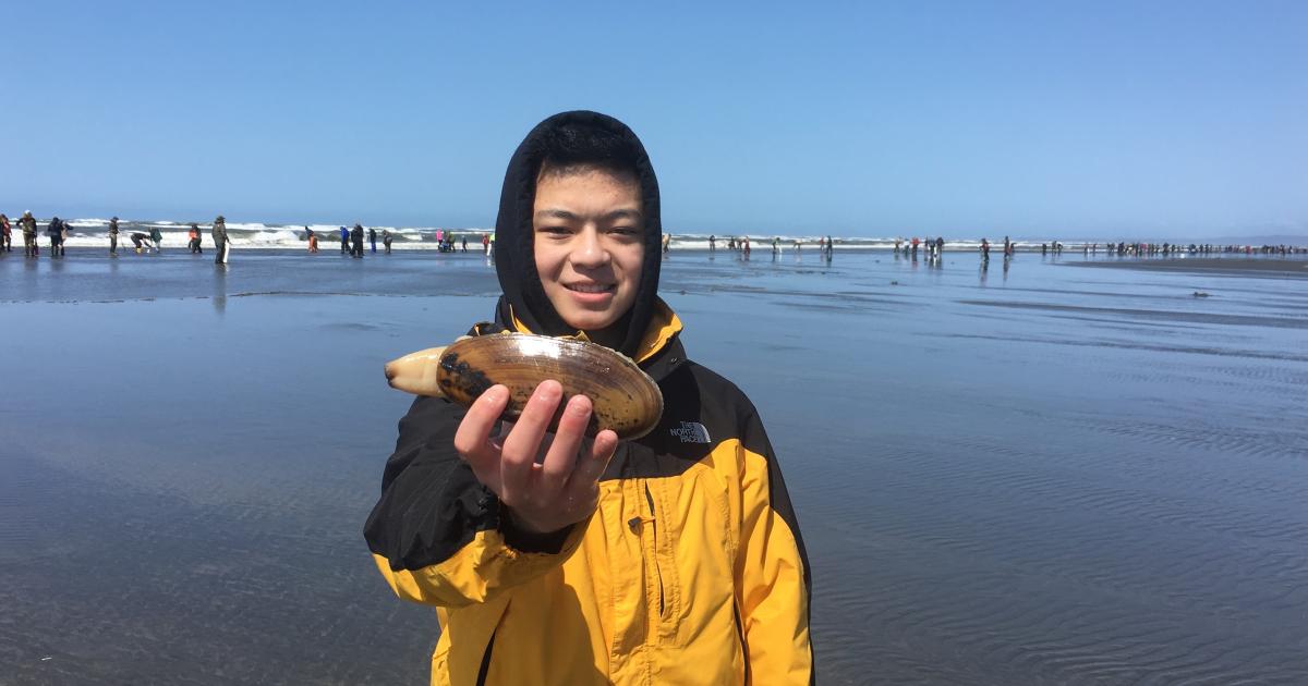 WDFW approves final coastal razor clam digs of the spring season beginning  Thursday, May 4