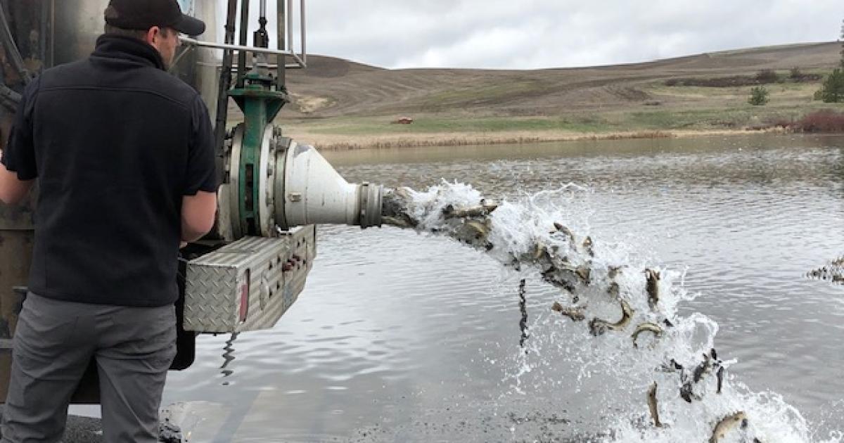 Many happy anglers on opening day of trout fishing in statewide lowland  lakes, by The Washington Department of Fish and Wildlife