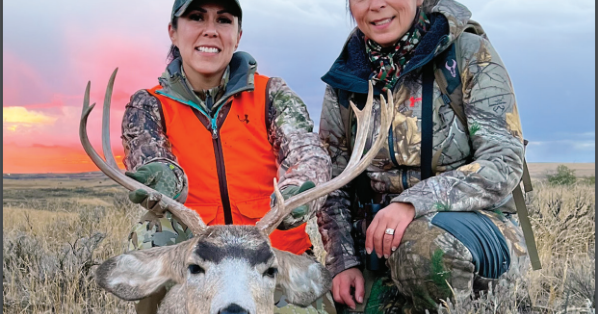 Annual Big Game Hunting Regulations Now Available; Special Hunt Permit ...