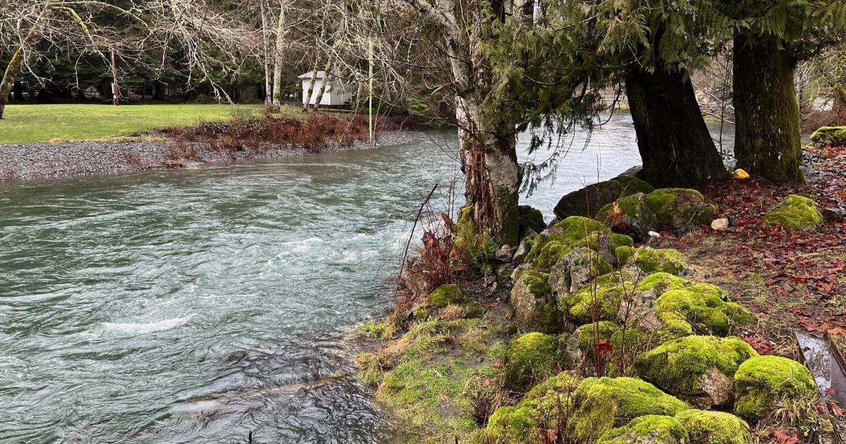 Duckabush River, Jefferson County Incident | Washington Department of Fish & Wildlife - WDFW