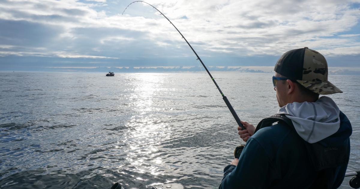 WDFW fishery managers announced today the winter Chinook salmon fishery in  Marine Area 10 (Seattle/Bremerton Area) has closed for the sea
