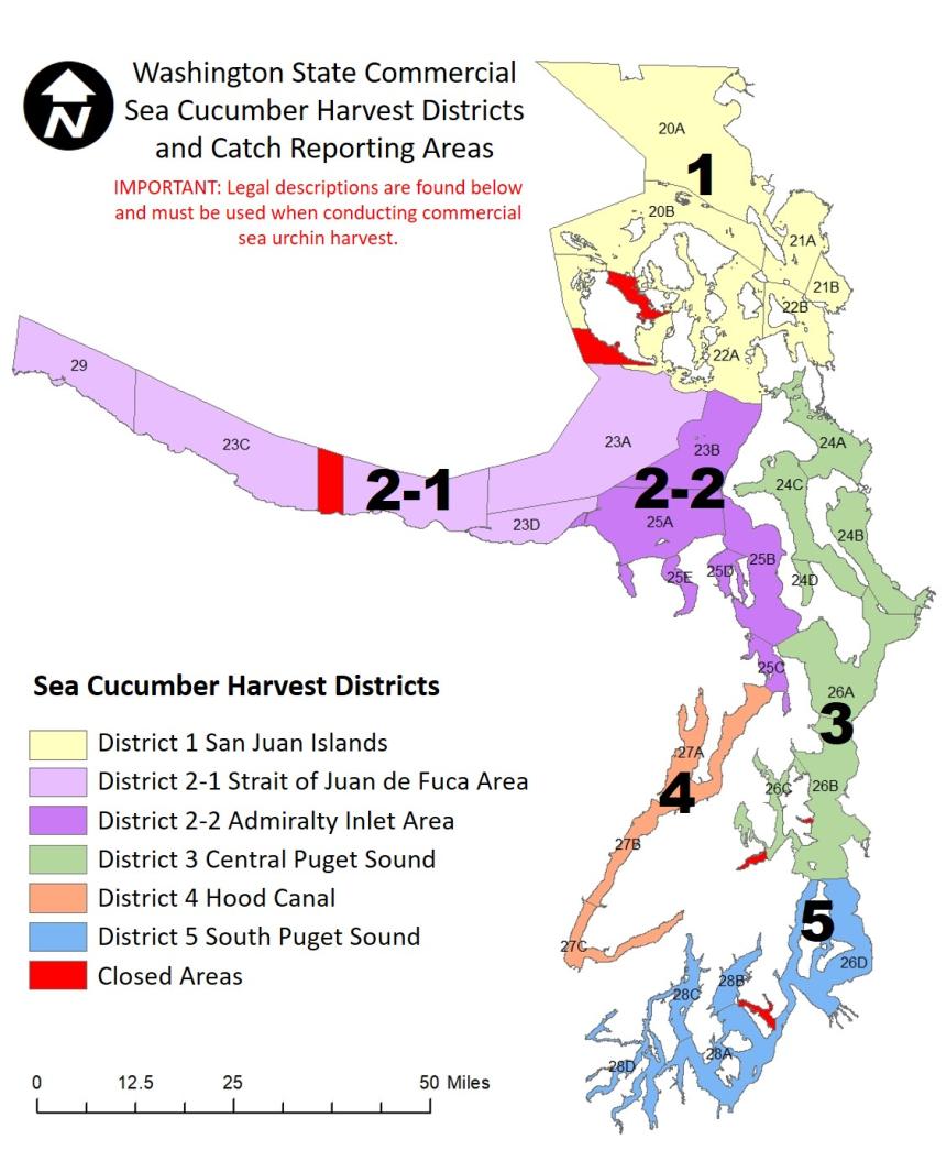 Sea cucumber harvest districts and reporting areas