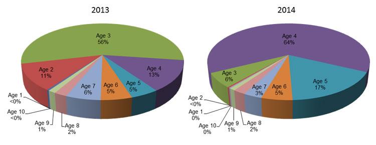 Age composition of sardine sampled in 2013 and 2014