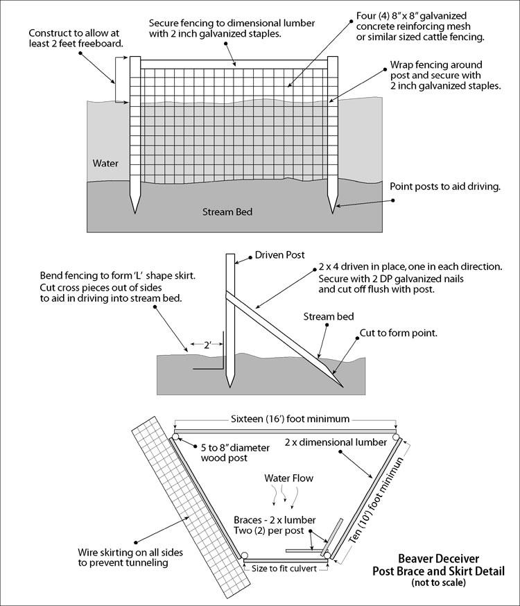 Diagram and instructions on building a "beaver deceiver" to protect culverts from being plugged by beavers.