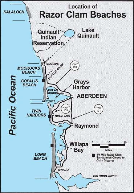 Map of razor clam beaches on Washington coast